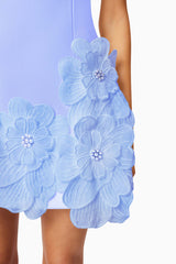 Janelle Mini Dress in Blue